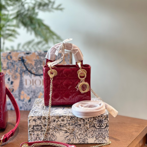Dior new arrival red lady bag