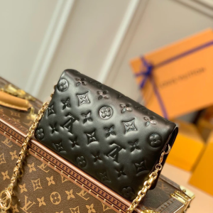 LOUIS VUITTON Pochette Coussin Bag