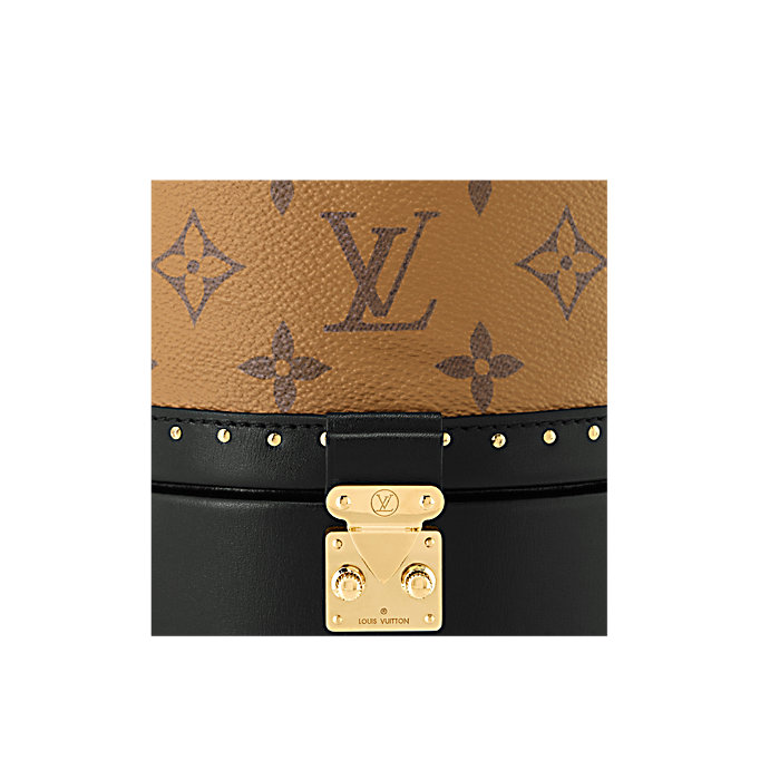 Louis Vuitton (LV) Monogram REVERSE CANVAS PETIT - Image 5