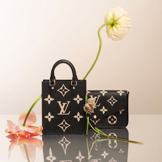 Louis Vuitton (LV) M80482 Félicie Pochette - Image 7