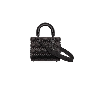 SMALLouis Vuitton (LV) LADY CD MY ABCD BAG
