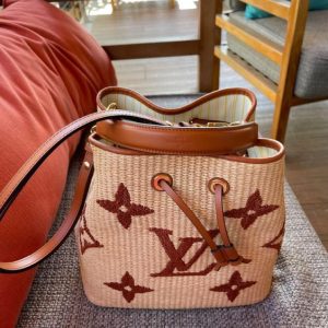 Louis Vuitton neonoe Bag Apricot