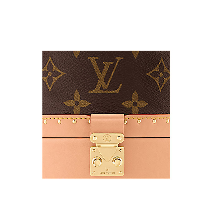 Louis Vuitton (LV) Monogram Canvas PETIT - Image 3